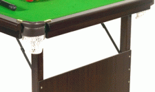 Pro Snooker Table.